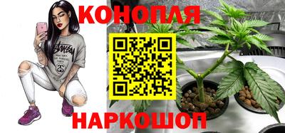 скорость Донской
