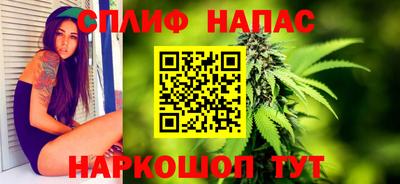 скорость Дубна