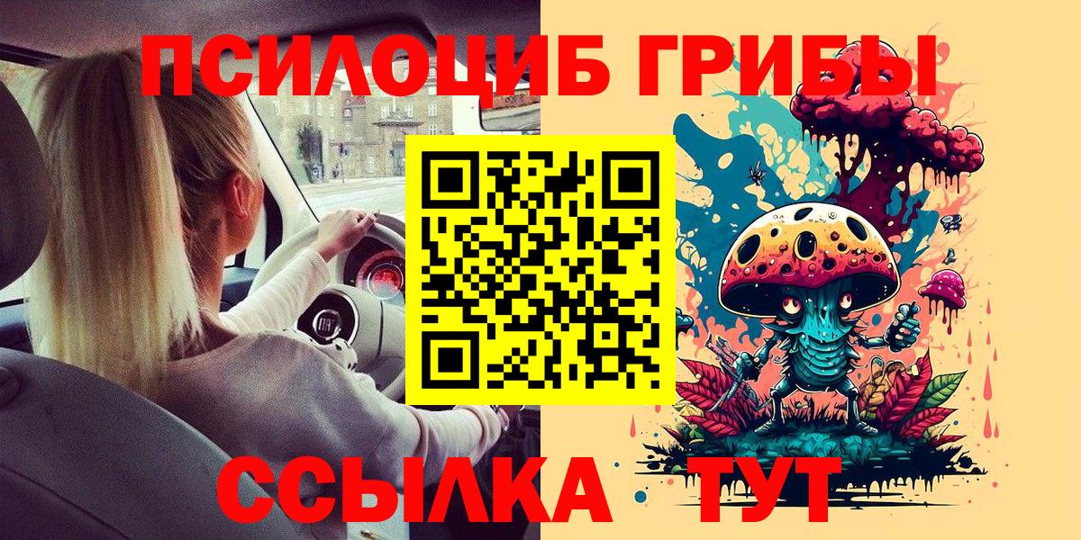 Комсомольск-на-Амуре  где купить   Псилоцибиновые грибы Cubensis  Вход с VPN  Галлюциногенные грибы Psilocybe 